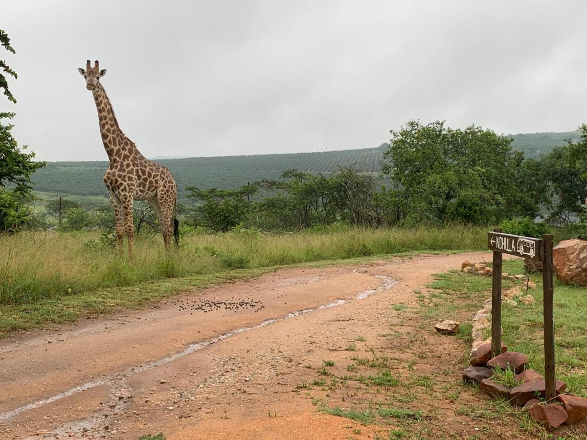 Ndhula Luxury Tented Lodge White River Bagian luar foto