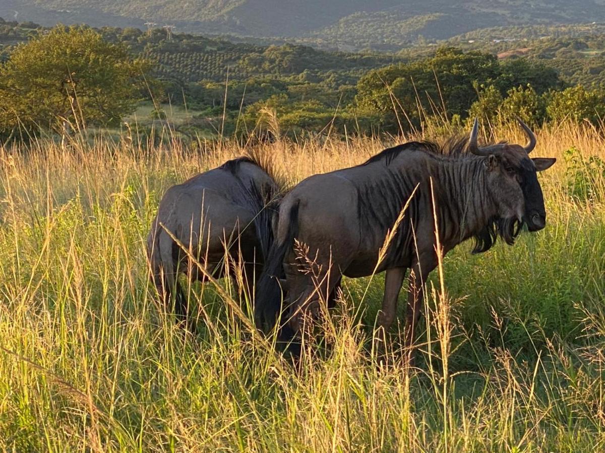 Ndhula Luxury Tented Lodge White River Bagian luar foto