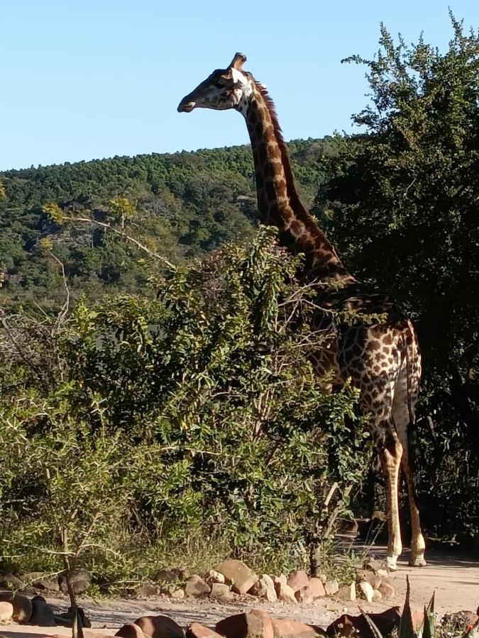 Ndhula Luxury Tented Lodge White River Bagian luar foto