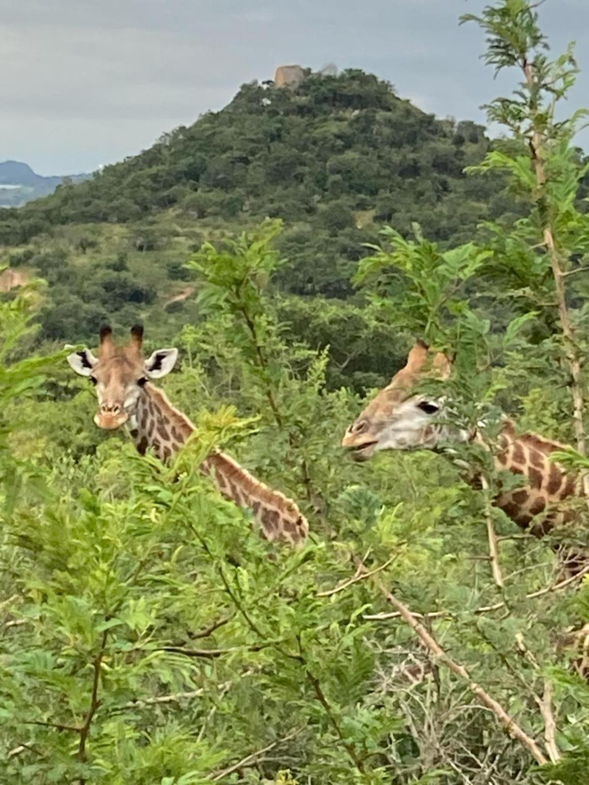 Ndhula Luxury Tented Lodge White River Bagian luar foto