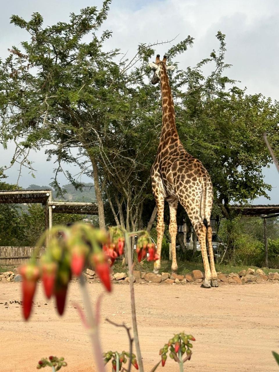 Ndhula Luxury Tented Lodge White River Bagian luar foto